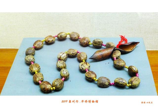 泉州这座博物馆满城皆是宝藏，山海画廊人间福地