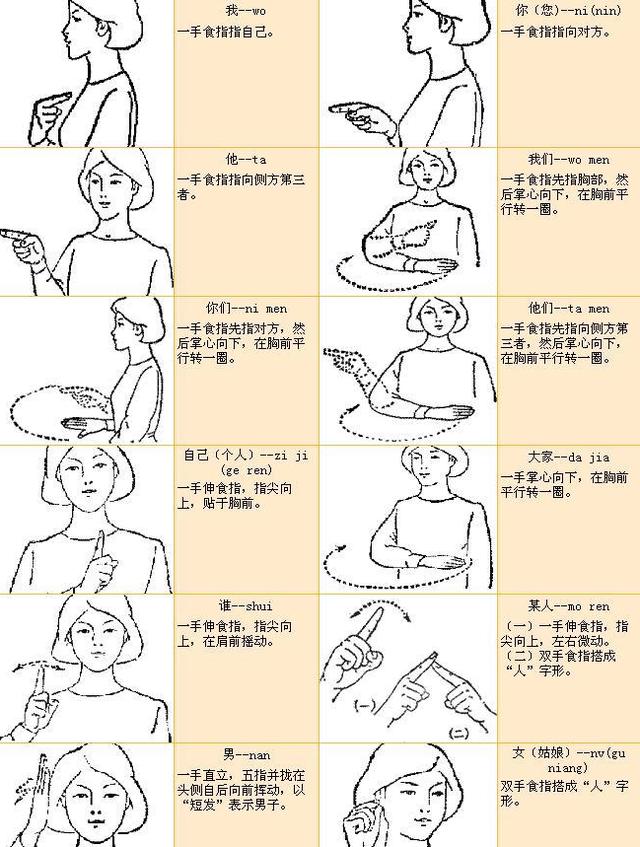 中国手语基本手势，手语的小知识