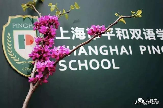 上海国际学校学费，上海口碑最好的私立国际学校（上海国际学校学费排名大起底）