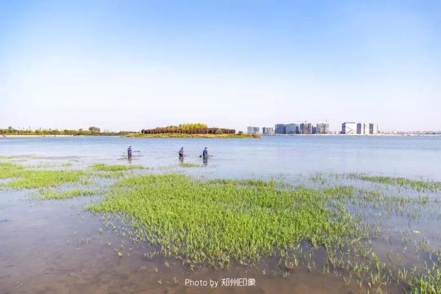 郑州周边免费景点，郑州最近免费旅游景点大全（不出郑州的8个赏花遛娃地）