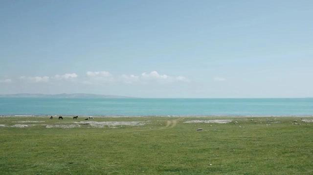 青海湖几月份看油菜花，青海湖旅游的最佳季节来了
