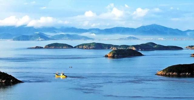 三文鱼是海鲜吗，三文鱼是不是海鲜（最近不敢吃三文鱼了）