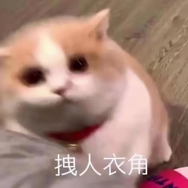这胸？这腰？收到异地女友禁欲系自拍…突然没有了世俗的欲望 七夕送女朋友