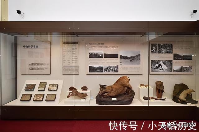 天津历史博物馆，天津有哪些值得去的博物馆