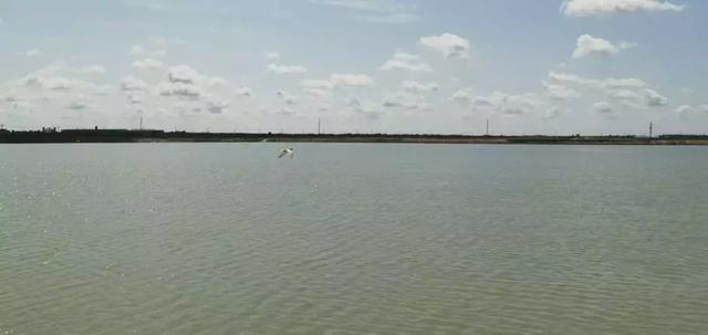 如意湖湿地公园游玩攻略，左中休闲好去处