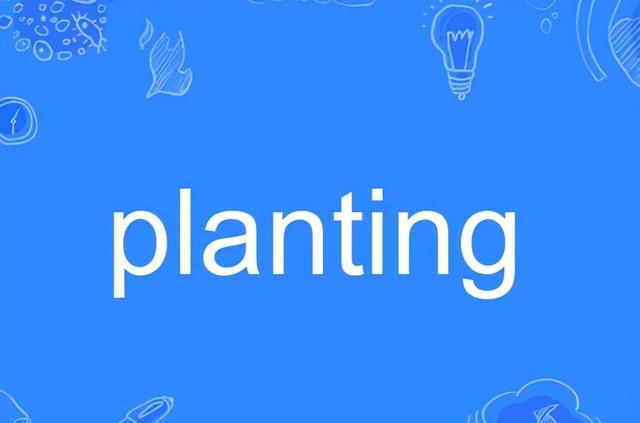 plant的英文，plant的英语单词怎么写