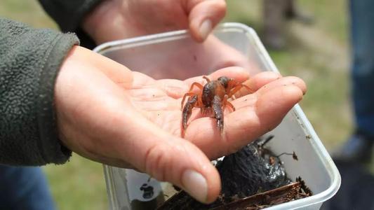 澳大利亚有些什么特产值得买，你不知道的国家冷知识