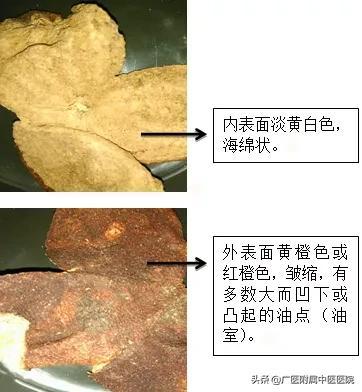 为什么三年的陈皮这么好，陈皮你“泡”对了吗