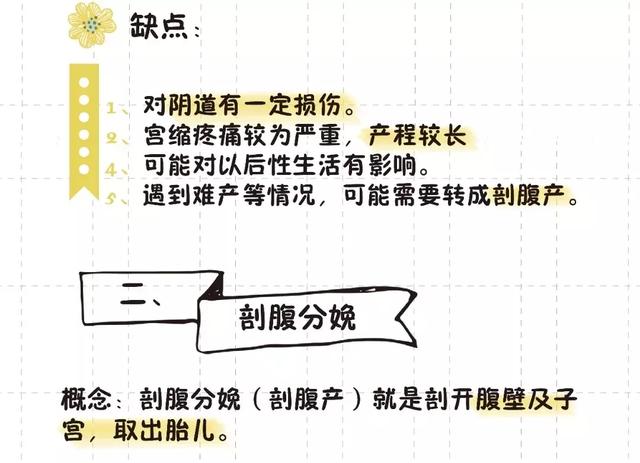 猫的生育常识和技巧，最全的入门级生育指南