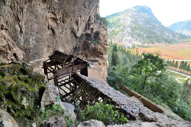 遇见最美的小镇，去针灸小镇赴一场玉兰之约~