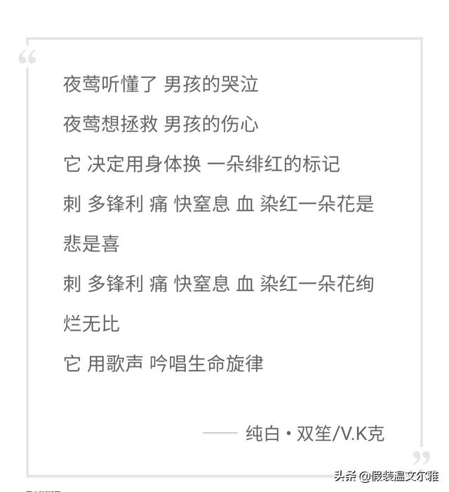 玫瑰永不凋零只是换个方式绽放，你是否也曾像夜莺一般