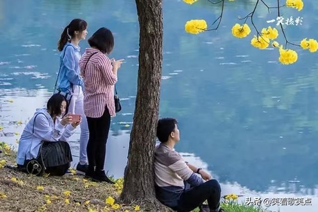 小小说不是嫌弃，小小说精选