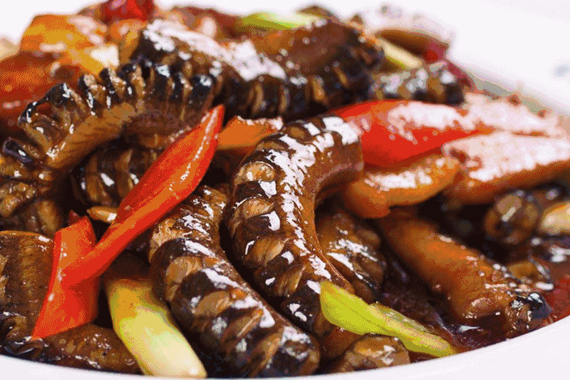 黄鳝钩哪个钩型好，老把头分享钓黄鳝选钩的方式（钓黄鳝用什么钩型好用）