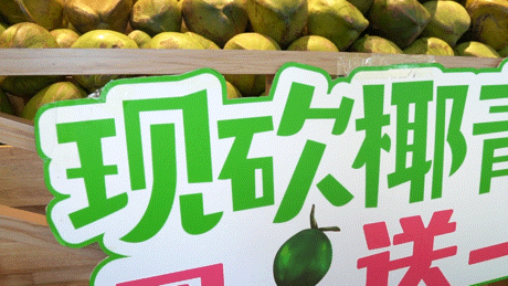 椰子鸡用什么鸡，四个椰子一只文昌鸡（文昌椰子鸡用什么椰子）