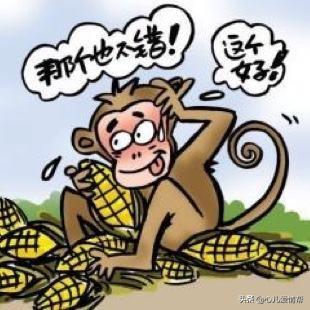 为什么分手正常离婚不正常，导致离婚的根本原因