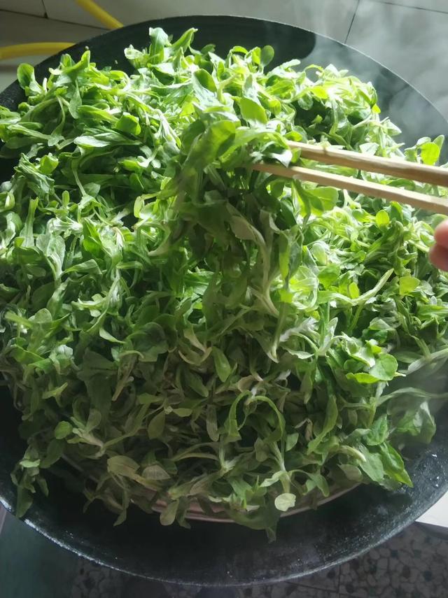 四川特色美食猪儿粑，记忆中的家乡味道之