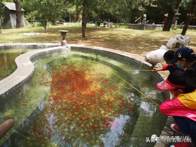 南宫旅游十大必去景点，假日乡村打卡丨夏日来南宫看民族主题花车巡游