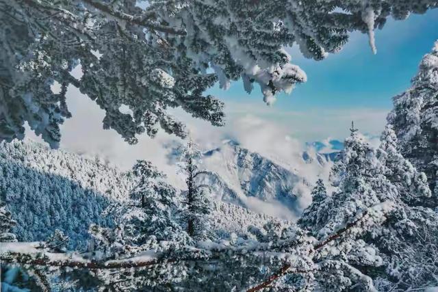 西岭雪山游玩攻略，西岭雪山旅游攻略完整版（成都周边的“小西岭雪山”）