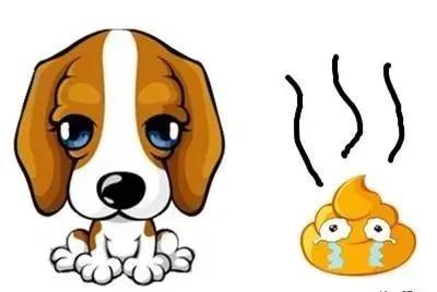 狗狗突然大便有血是什么原因，发现狗狗大便带血