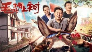 好看知青下乡题材的电影，10部经典知青影视剧