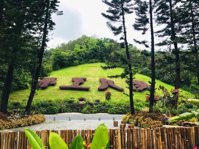 深圳市仙湖植物园，深圳仙湖植物园适合夏天逛吗（深圳仙湖植物园现场实拍图来了）