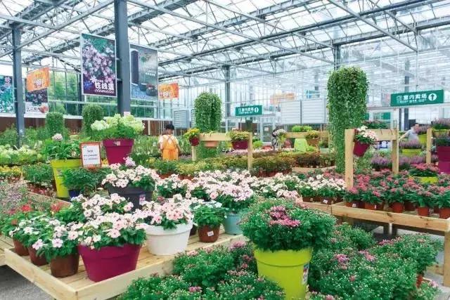 园艺批发市场，这个园艺市场本周末放大招