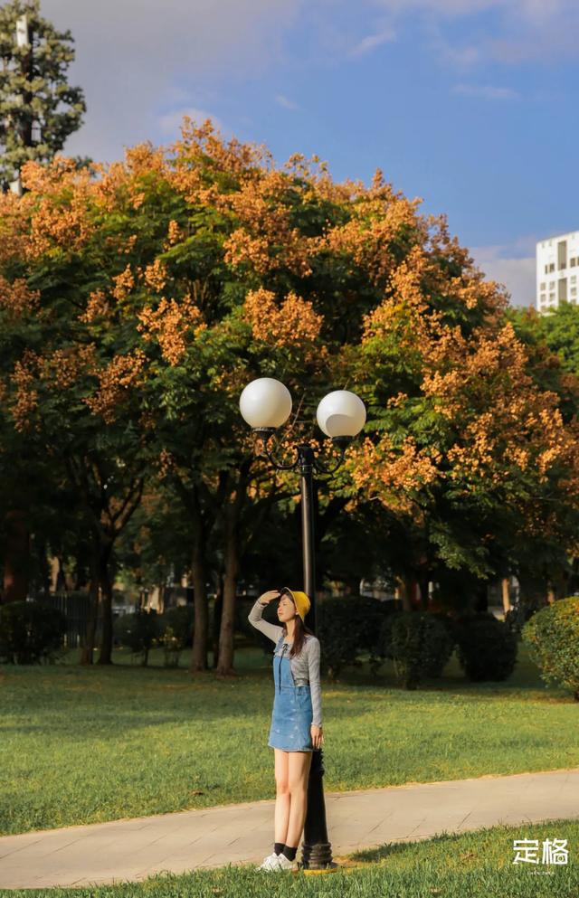 莲花山公园 网红打卡地，莲花山公园又红了