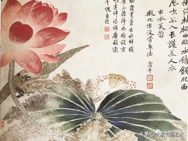 名画家水墨写意荷花，历代名家笔下的荷花