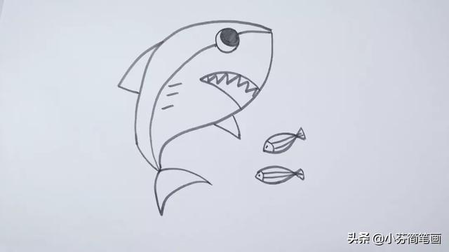 大鲨鱼简笔画简单又好看，海里最凶猛的大白鲨绘画步骤