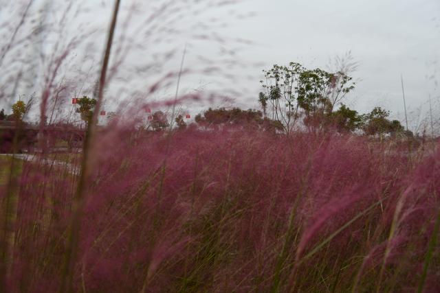 成都周边游楠木溪，成都周边免费一日游