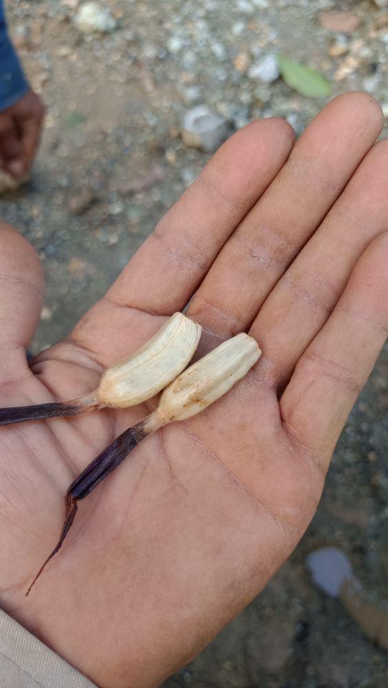 为什么很多人去印尼打工，记录印尼打工生活点滴