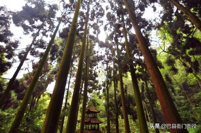 青城山一天旅游攻略图文并茂，青城山\u0026都江堰一日游超全攻略