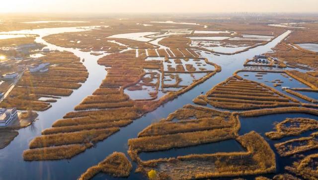 白洋淀冬天的生活，只有60来岁的人才会做……