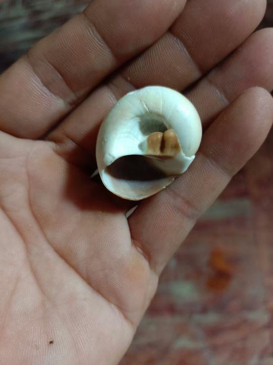 为什么很多人去印尼打工，记录印尼打工生活点滴