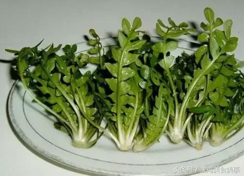 荠菜的做法大全，荠荠菜10种做法（3种做法分享给你）