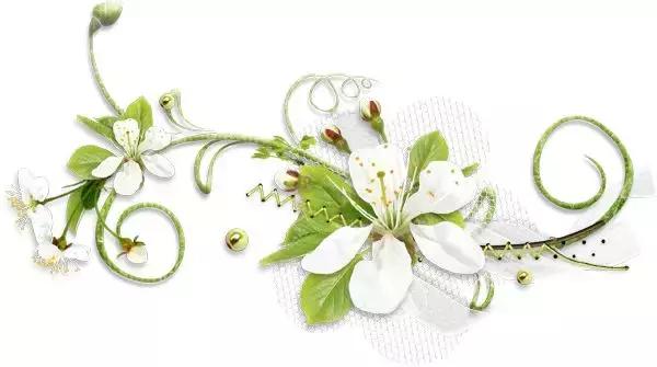 最美巾帼风百花争艳，最美移动人事迹