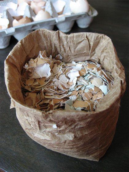 鸡蛋壳有什么用，鸡蛋壳的10个用处（鸡蛋壳的10个小妙用）