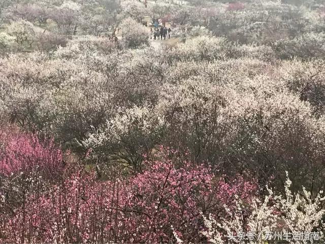 苏州旅游必去十大景点门票价格，江苏十大最美古镇