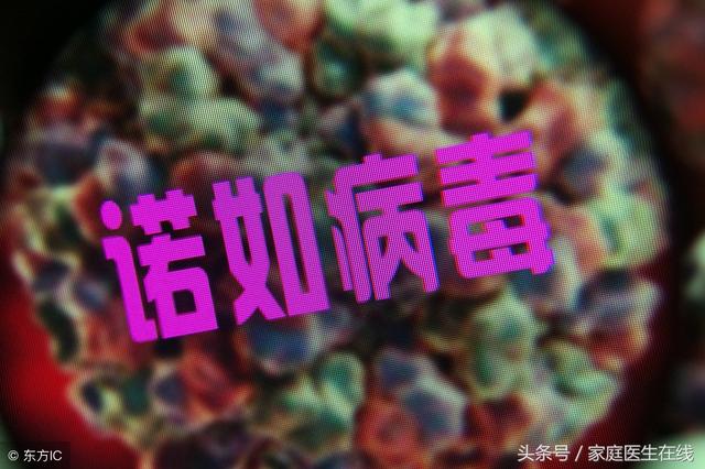 诺如病毒传播途径，诺如病毒是通过什么途径传播的