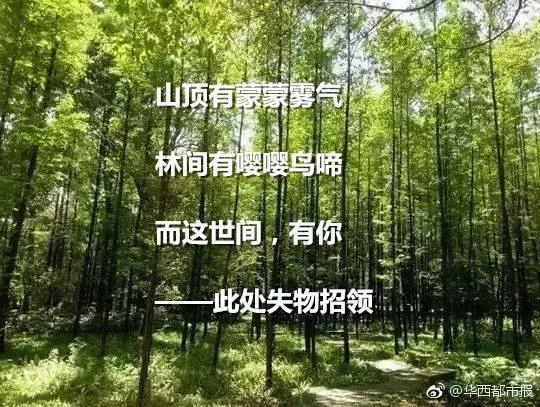 情诗短句最美，最美的三行情诗