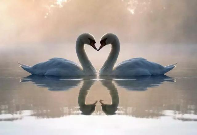 情诗短句最美，最美的三行情诗