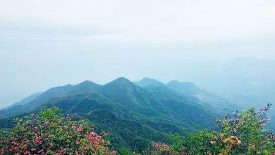 义乌最好游玩的地方，美丽进行时义乌—欢迎五一来游玩