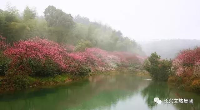 万树繁花看尽万千风景，花不迷人人自迷