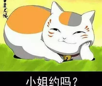 2022年一月新番号一览表，2022一月新番一览表（这个四月番料还挺猛）