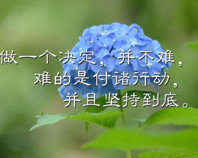 早安心语正能量181119：现在不努力，未来不给力