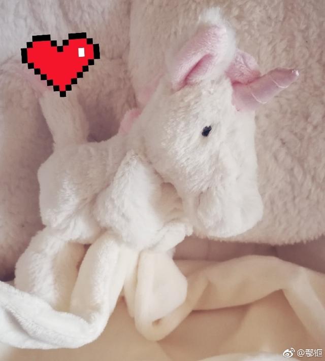 梅婷鄢颇有孩子吗，9岁女儿继承其美貌