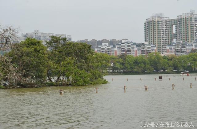 西湖风景名胜区，惠州西湖风景名胜区游玩攻略