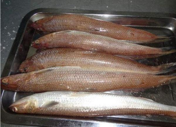 北海20大特色美食，北海20大特色美食