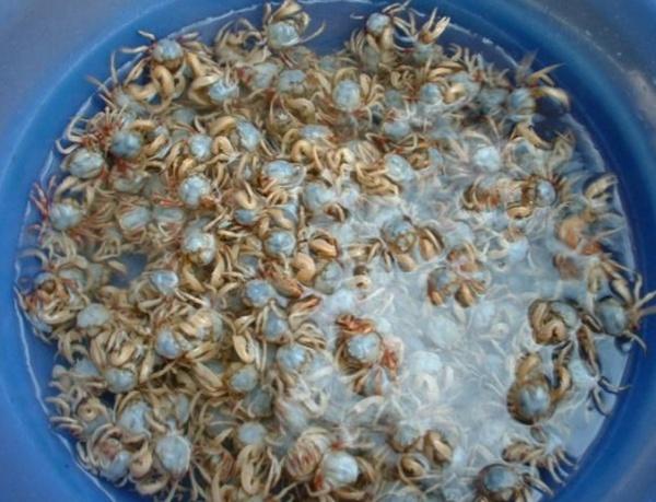 北海20大特色美食，北海20大特色美食