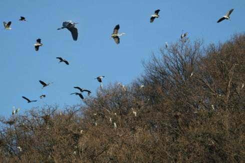 明代开原城，辽宁开原市----古为大金国国都所在地